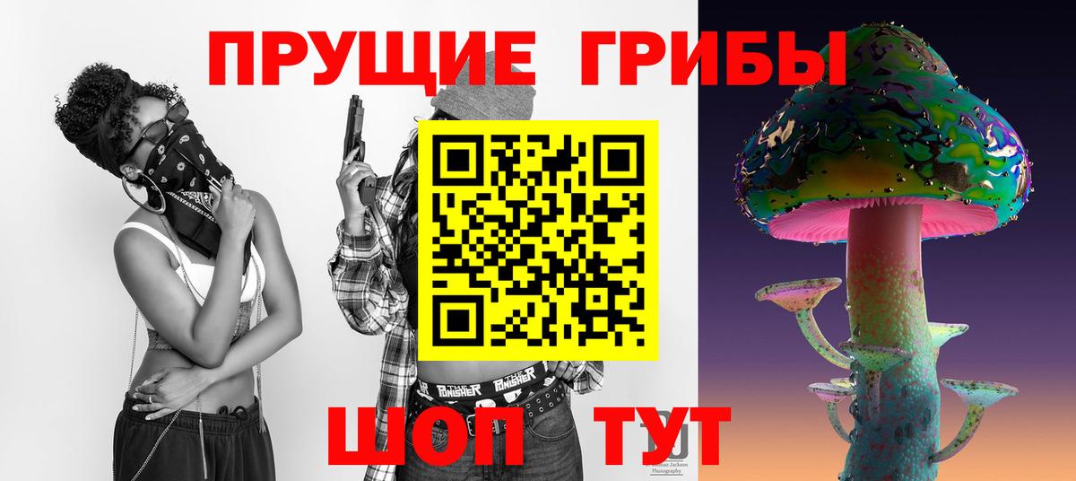 Псилоцибиновые грибы Cubensis  Вход с VPN  Новоалтайск 